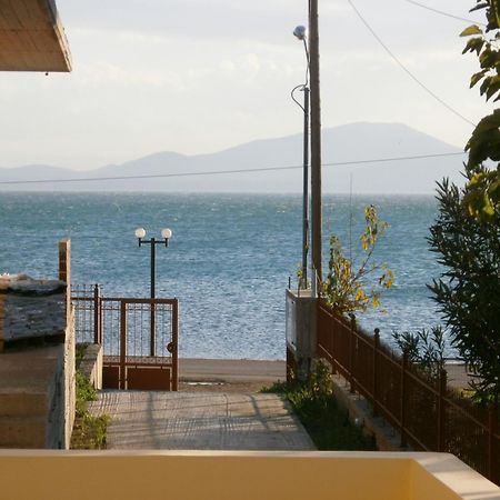 Artemis - Marina Apartments Evia Экстерьер фото