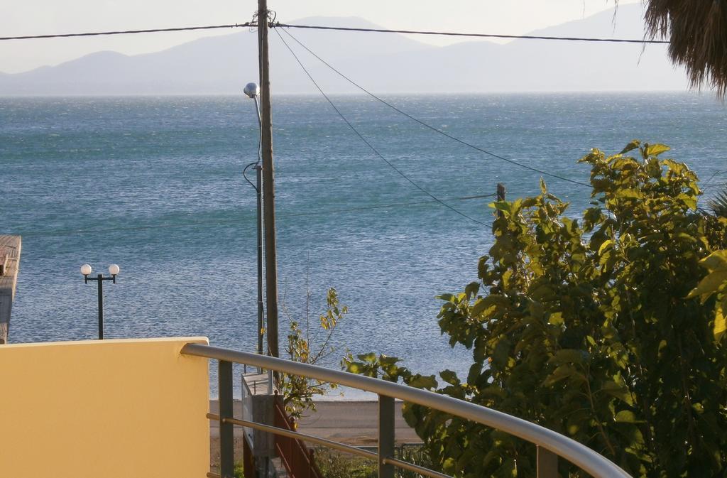 Artemis - Marina Apartments Evia Номер фото